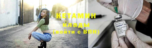 сатива Балахна