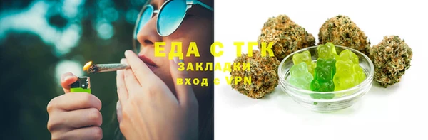 индика Аркадак