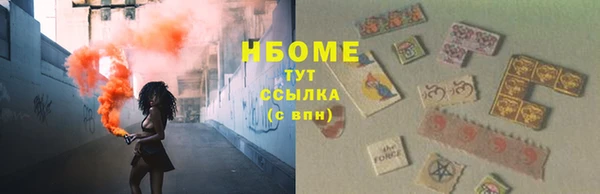 прущие грибы Протвино