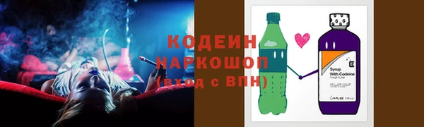 индика Аркадак