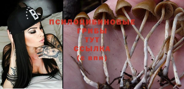 сатива Балахна